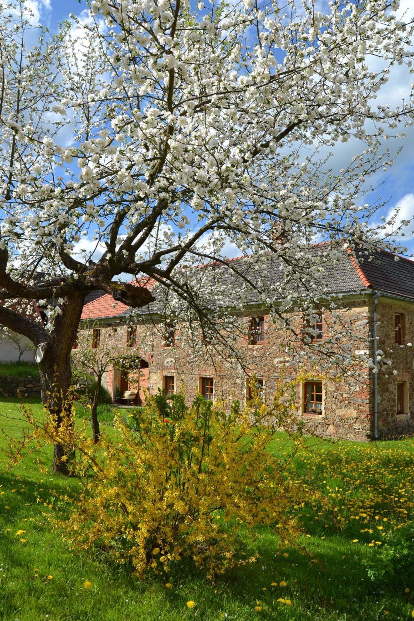 Selsky Dvur Appartement Kájov Buitenkant foto