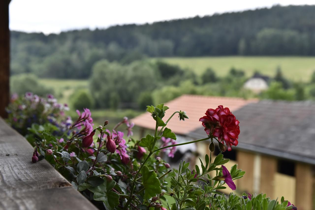 Selsky Dvur Appartement Kájov Buitenkant foto